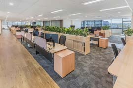 Open plan fitout with plant dividers