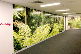 Office mural walls